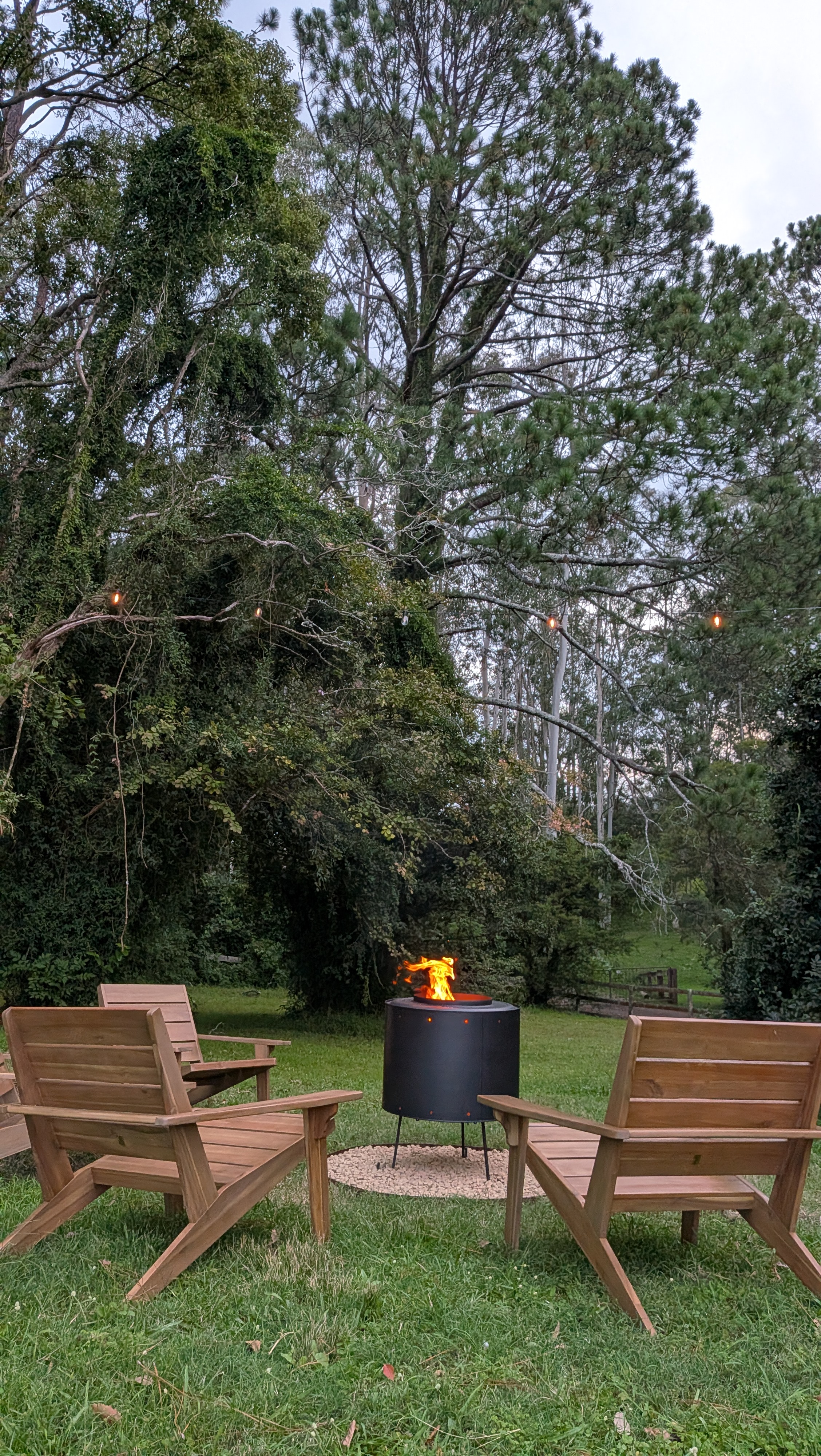 Fire pit with trees silhouetted in the background