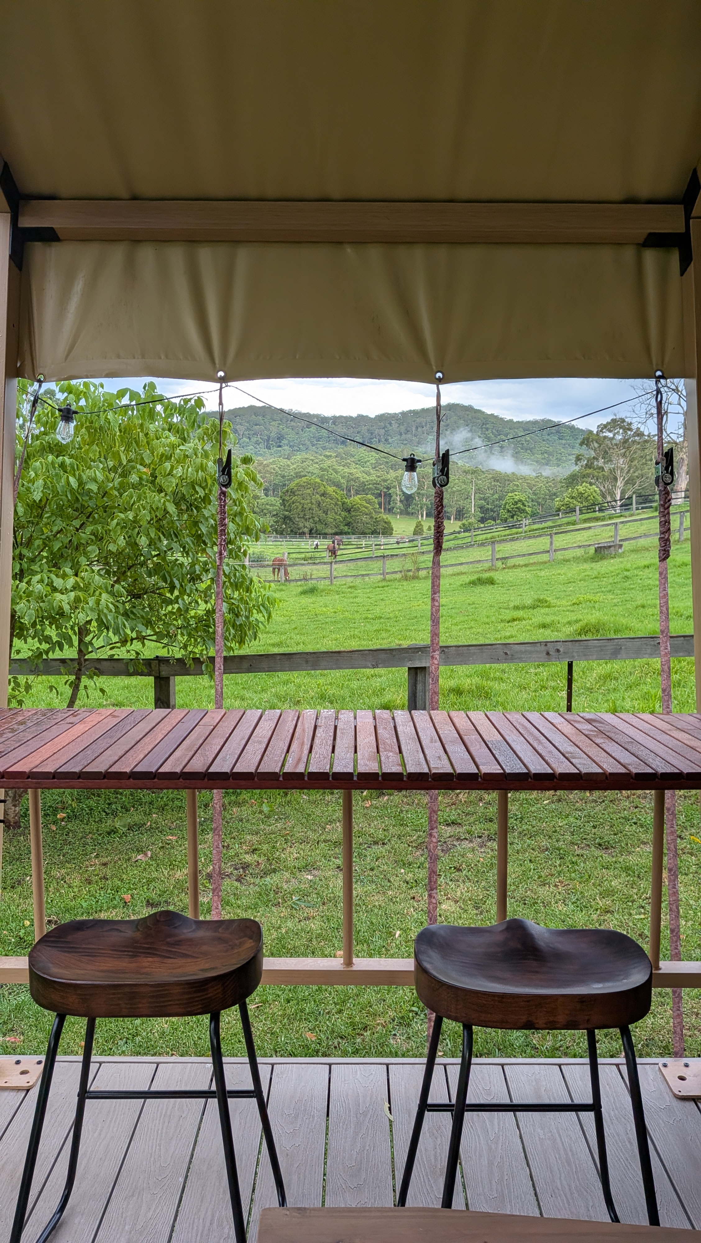 View from the bar seating overlooking the horse paddocks