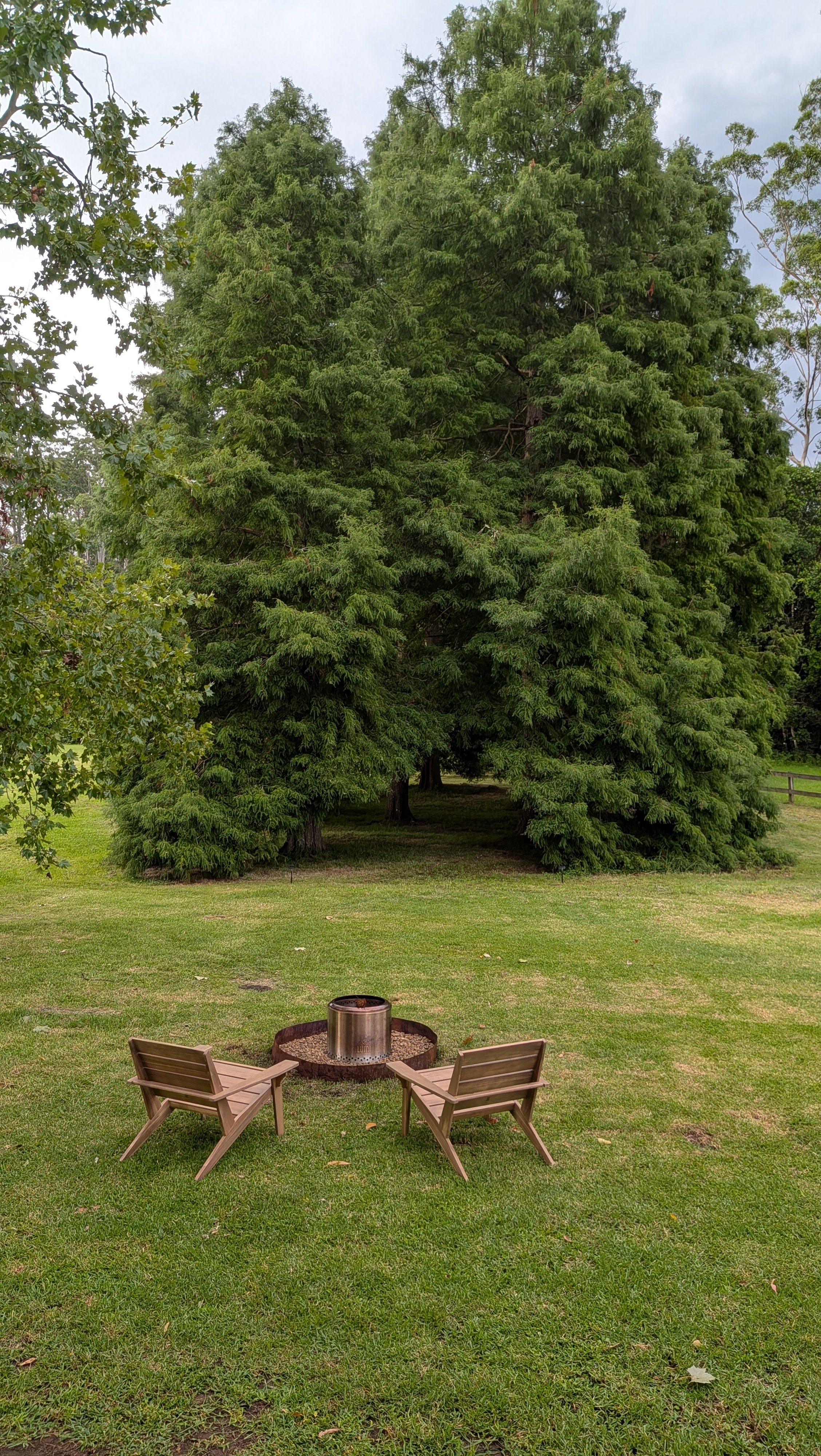 Looking from the deck down to the fire pit and dawn redwood grove