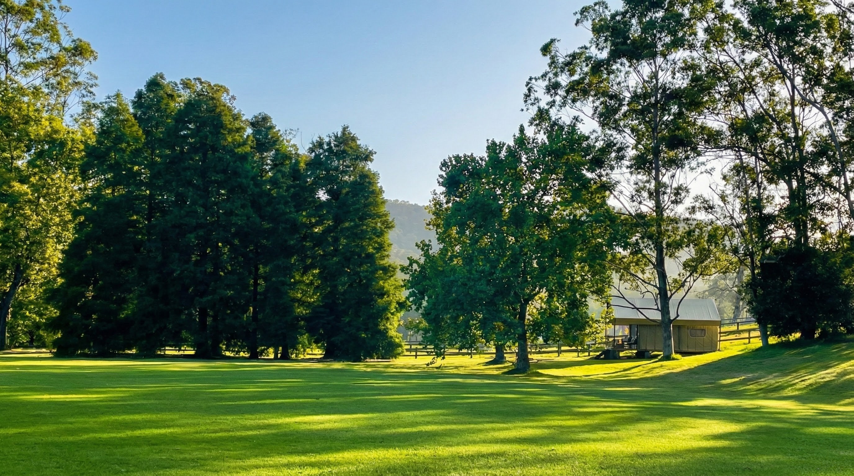 View from the oval towards the safari tent and redwood grove