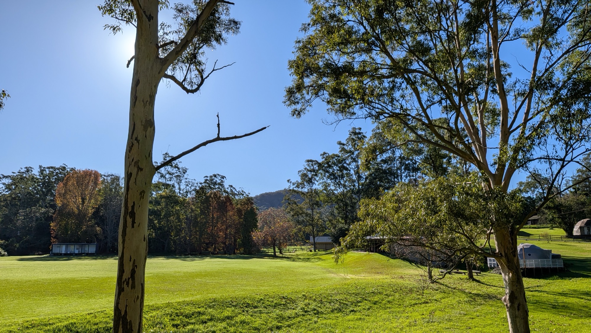 Wide landscape view of the full Unwind Escapes property showing all accommodation in Dooralong Valley